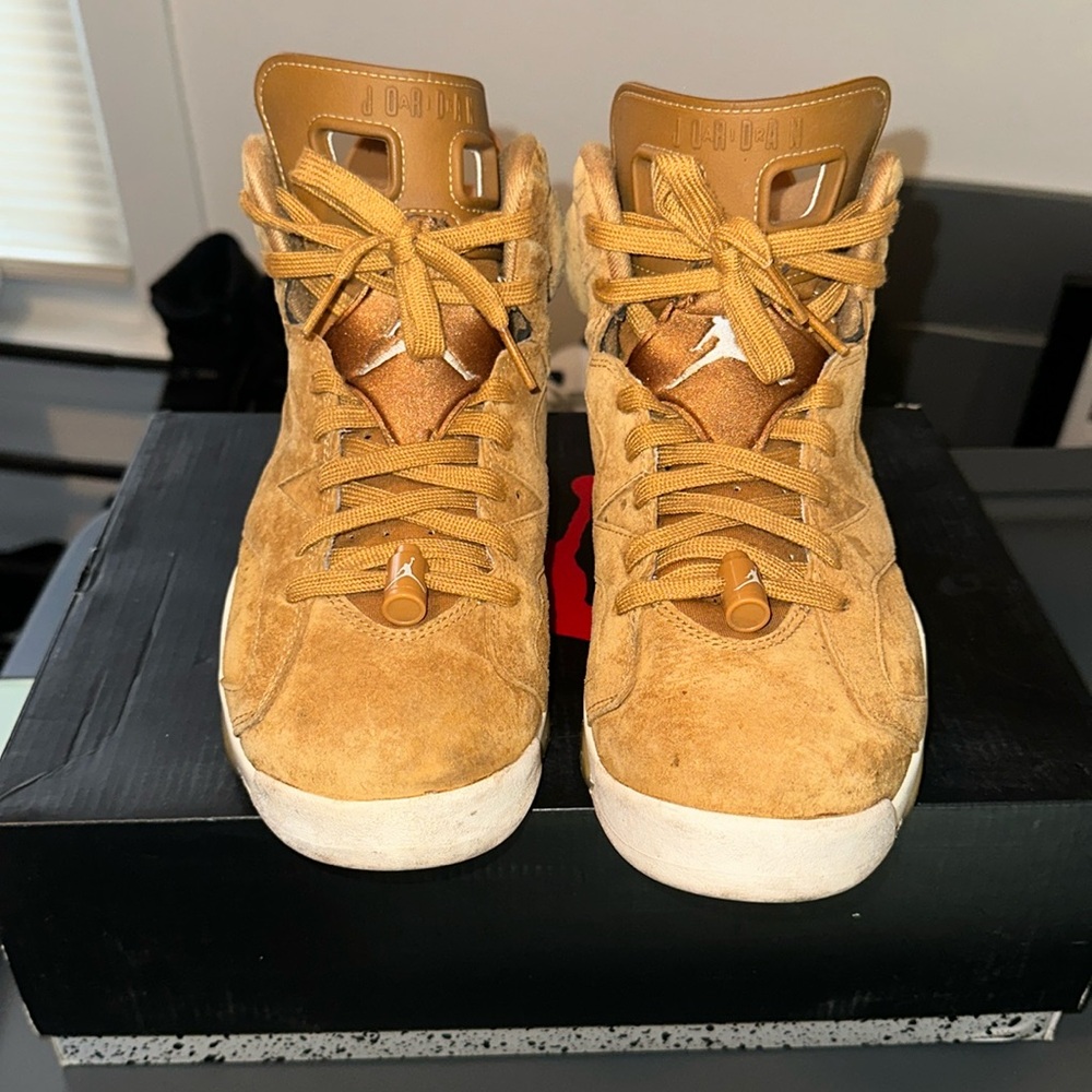 Air Jordan 6s